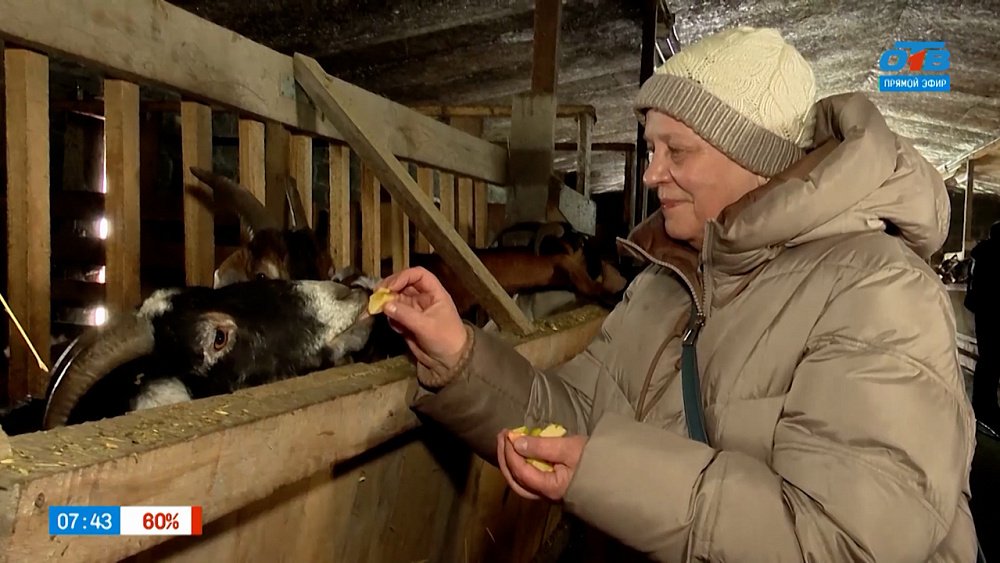 Познакомимся с местными сельхозпроизводителями в сюжете «Мой бизнес: Агротуризм по Челябинской области»
