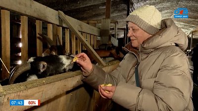 Познакомимся с местными сельхозпроизводителями в сюжете «Мой бизнес: Агротуризм по Челябинской области»