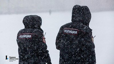 В Челябинске установили всех участников подростковой драки у ТГ «Алмаз»