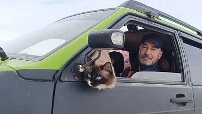 Кот Рузвельт из Челябинской области путешествует на крыше авто