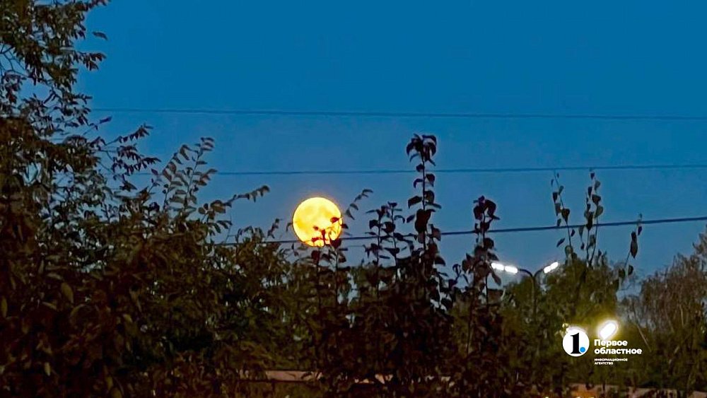 Уральцы пропустят полное затмение Луны из‑за светового дня