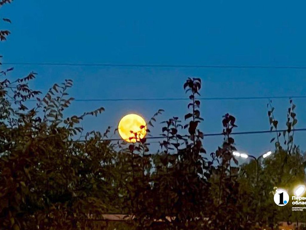 Уральцы пропустят полное затмение Луны из‑за светового дня