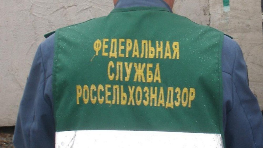 Россельхознадзор вернул в Казахстан более 40 тонн фиников из‑за подмены страны происхождения