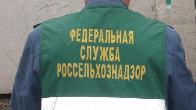 Россельхознадзор вернул в Казахстан более 40 тонн фиников из‑за подмены страны происхождения