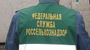 Россельхознадзор вернул в Казахстан более 40 тонн фиников из‑за подмены страны происхождения
