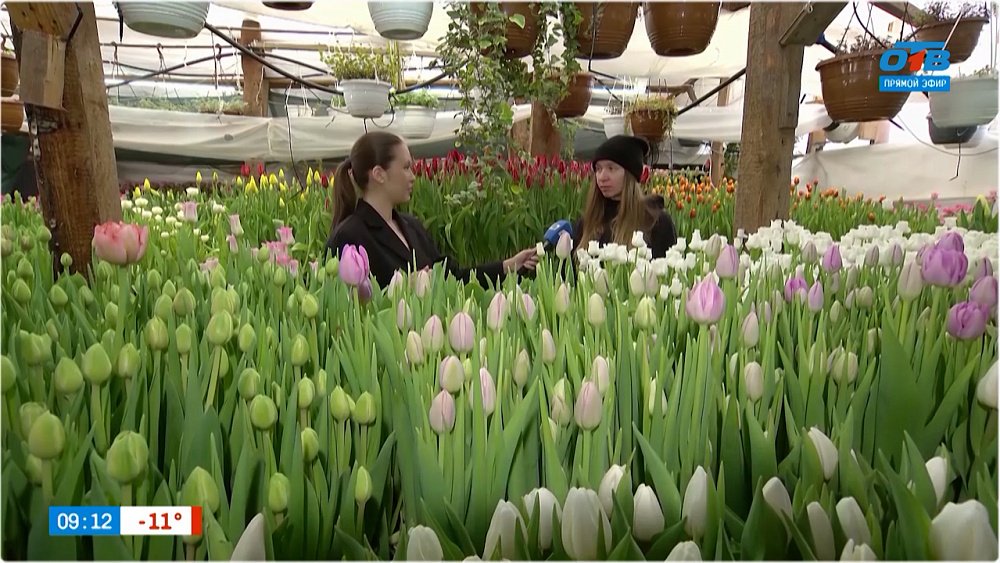 Весенняя атмосфера в прямом включении