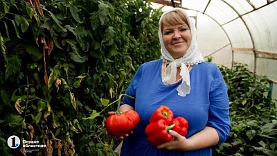 Почему перец не всходит: главные ошибки садоводов и способы их исправить