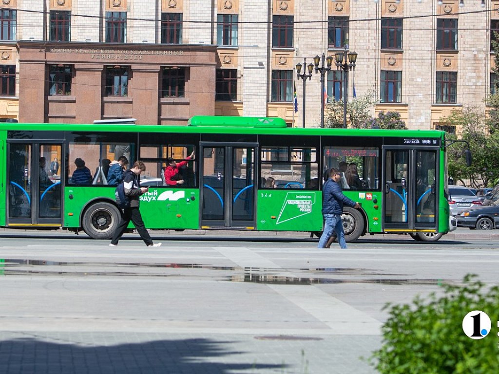 В 2026 году традиционные садовые маршруты запустят в Челябинской области с мая