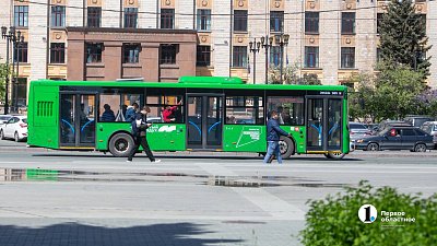 В 2026 году традиционные садовые маршруты запустят в Челябинской области с мая