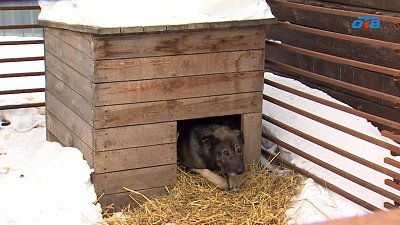 Что изменилось в «Додо пицце» после ситуации в Челябинске