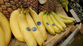 В России вступил в силу новый ГОСТ для бананов