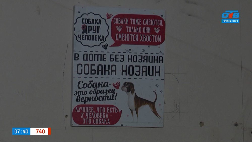 О надежных руках и добрых делах в сюжете «Перезагрузка для Кинологического союза»