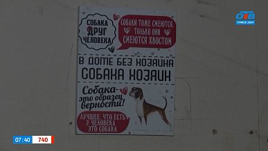 О надежных руках и добрых делах в сюжете «Перезагрузка для Кинологического союза»