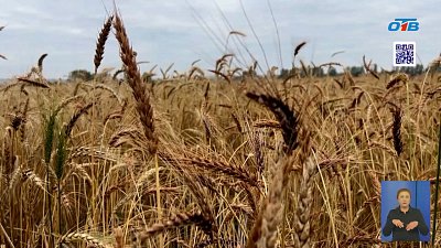 На Южном Урале пройдет межрегиональная агропромышленная конференция