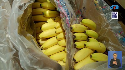 Новый ГОСТ для тропических фруктов вступил в силу