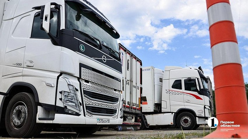 Россельхознадзор не пустил в Челябинскую область более 40 тонн фиников из Ирана