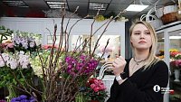В Челябинске входит в моду дарить женщинам ветки вместо цветов