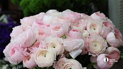 В Челябинске входит в моду дарить женщинам ветки вместо цветов