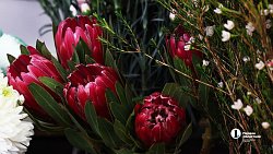 В Челябинске входит в моду дарить женщинам ветки вместо цветов