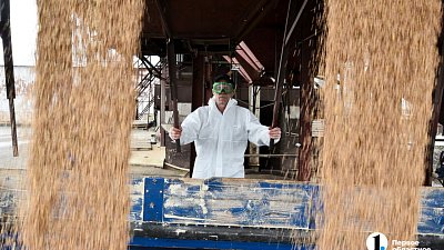 Объем агроэкспорта Южного Урала превысил план на 22%