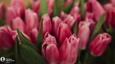 Перед 8 Марта в каждый цветочный Челябинска завозят до 70 тысяч тюльпанов