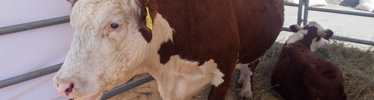 Челябинская область возглавила рейтинг УрФО по инвестиционной емкости АПК