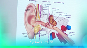 Какие факторы влияют на наш слух?
