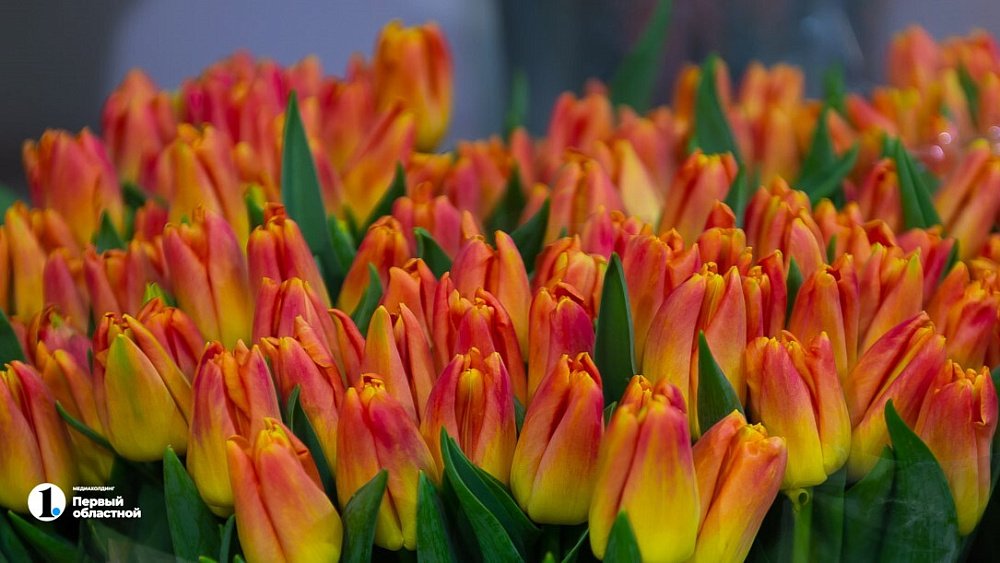 Как провести Международный женский день в Челябинске