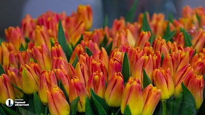 Как провести Международный женский день в Челябинске