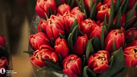 Челябинки хотят путешествий и денег на 8 Марта