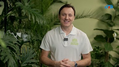 Как создать сад мечты