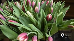 В Челябинске прошел праздничный концерт для жен и мам участников СВО