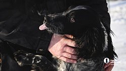 В Челябинске готовят служебных собак для работы в зоне СВО