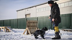 В Челябинске готовят служебных собак для работы в зоне СВО