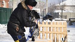 В Челябинске готовят служебных собак для работы в зоне СВО