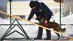В Челябинске готовят служебных собак для работы в зоне СВО
