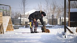 В Челябинске готовят служебных собак для работы в зоне СВО