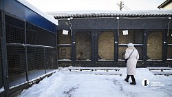 В Челябинске готовят служебных собак для работы в зоне СВО