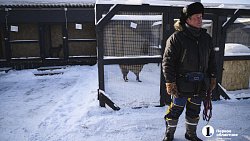 В Челябинске готовят служебных собак для работы в зоне СВО