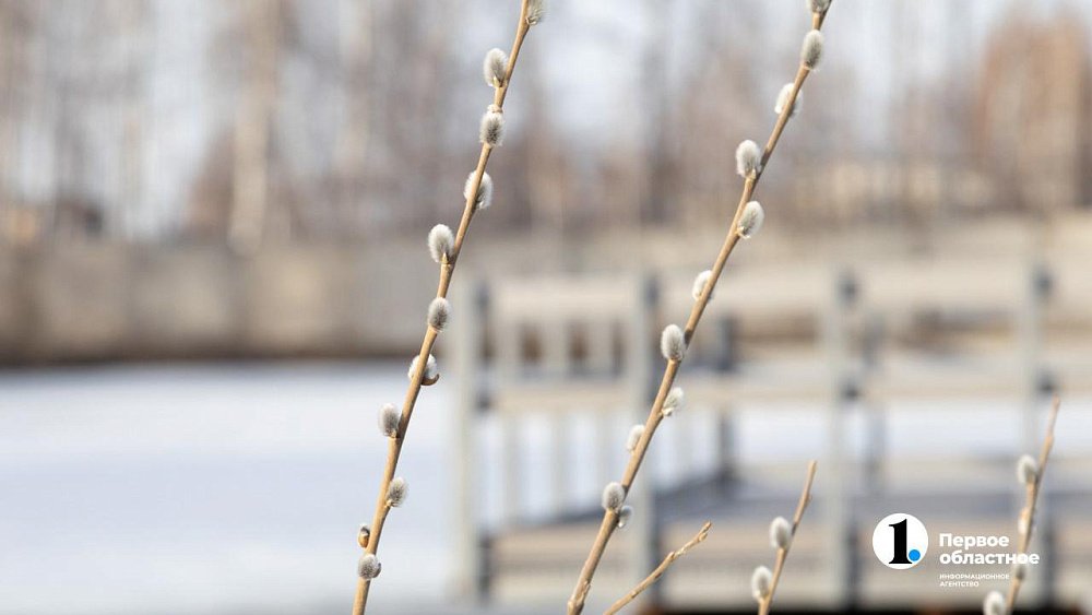 В Челябинской области 30-градусные морозы сменятся оттепелью до +5