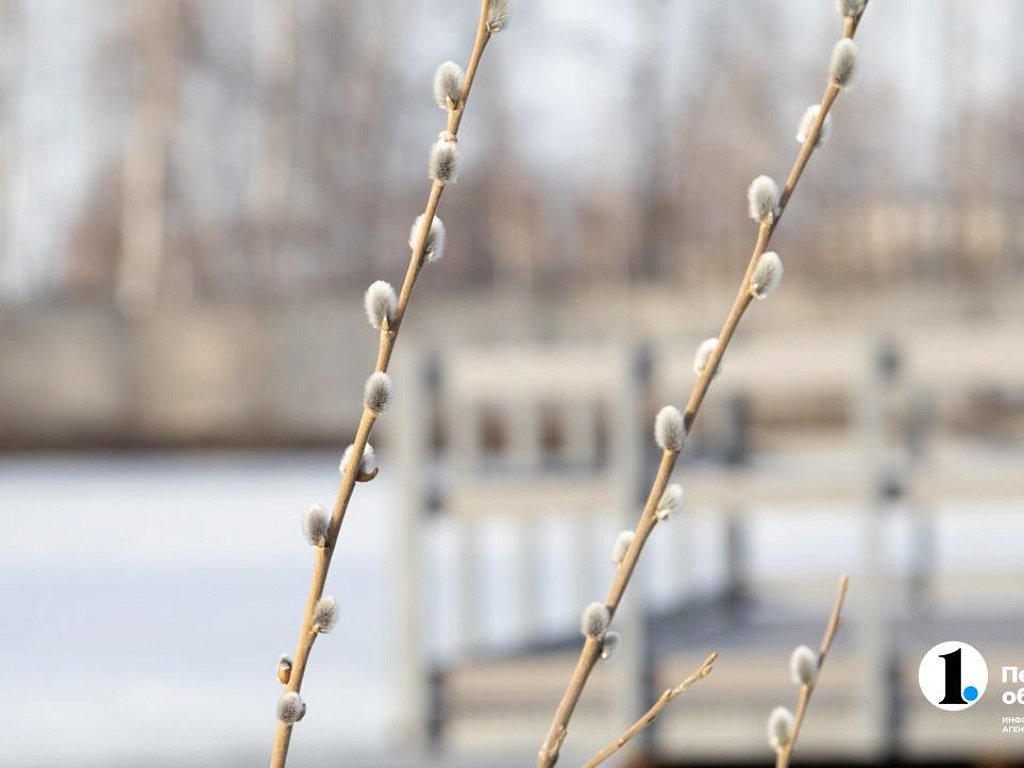 В Челябинской области 30‑градусные морозы сменятся оттепелью до +5