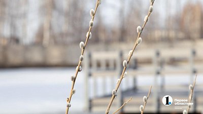 В Челябинской области 30-градусные морозы сменятся оттепелью до +5