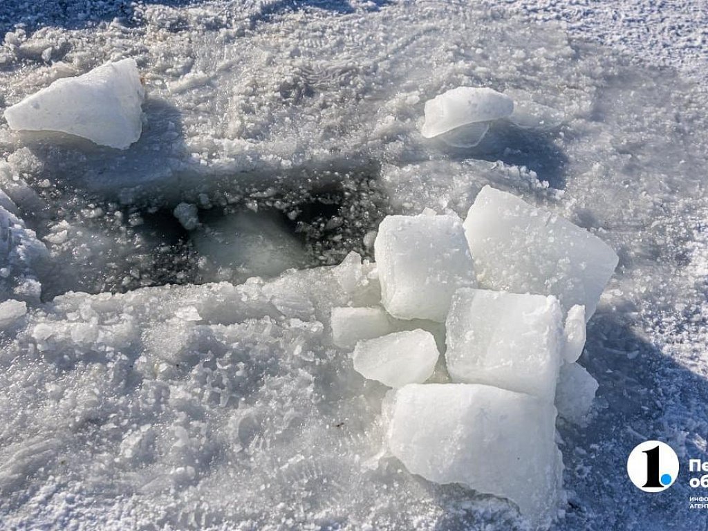 В челябинской школе развернули ПВР на случай паводка