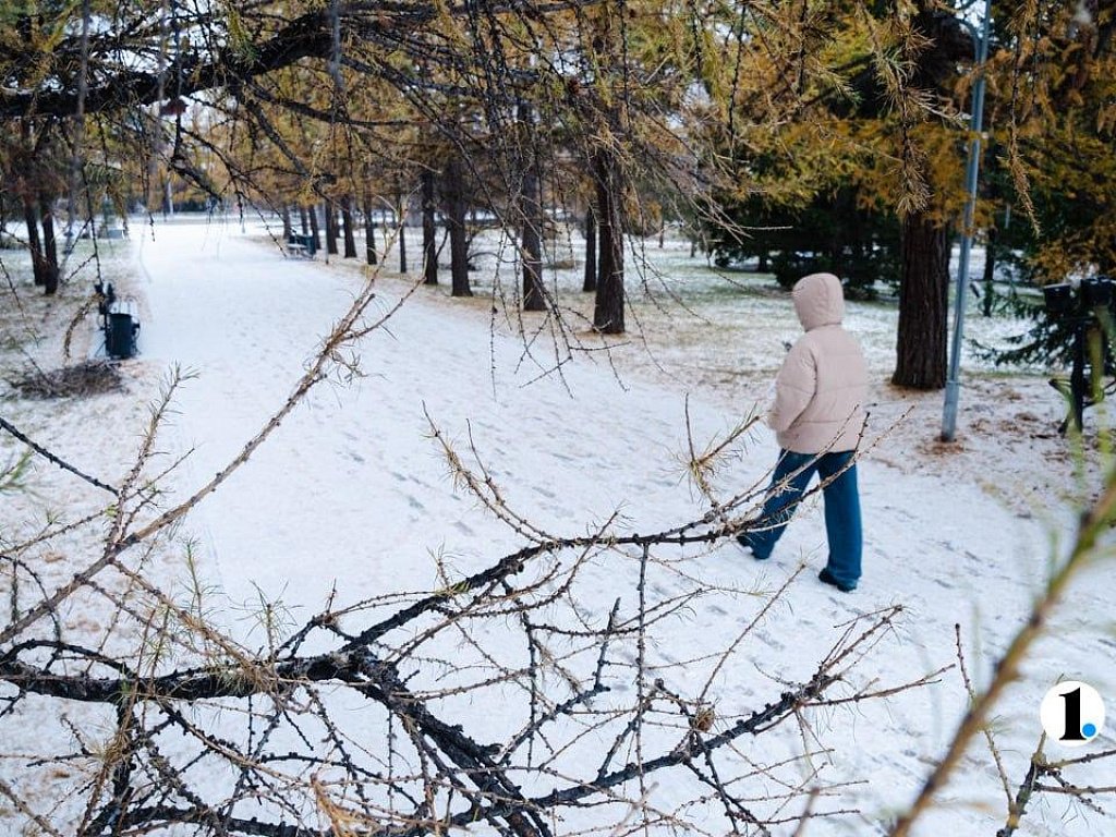 Температурные качели от −26 до −2 ждут южноуральцев 11 марта