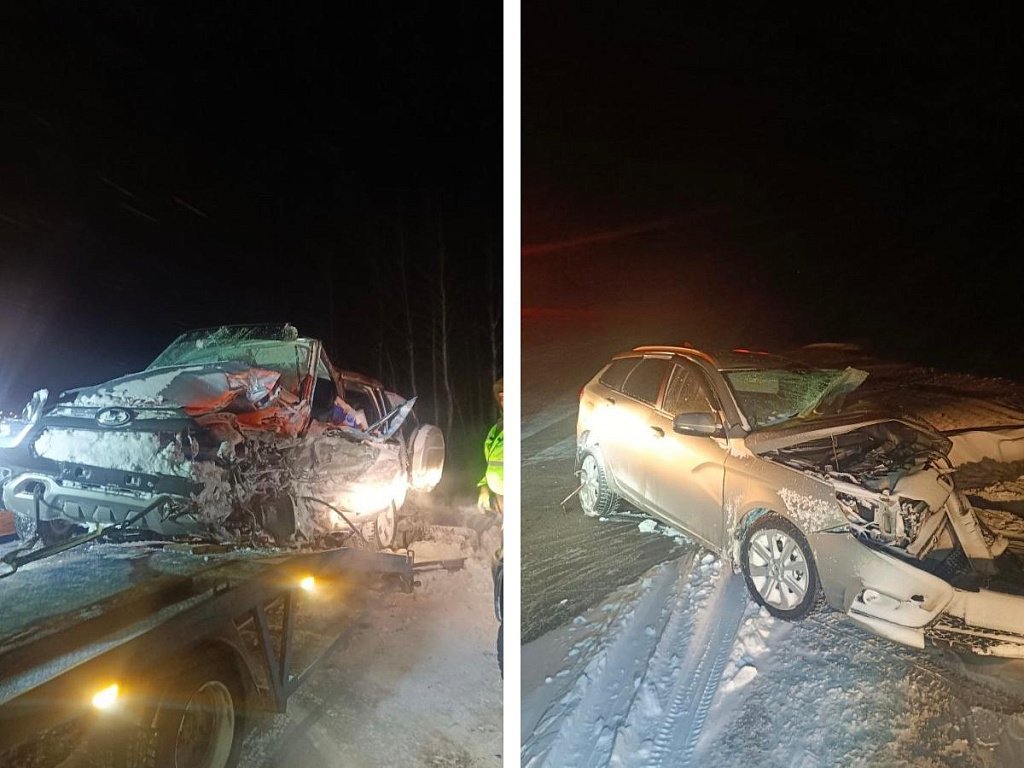 Семья из Челябинской области пострадала в ДТП из‑за косули под Курганом