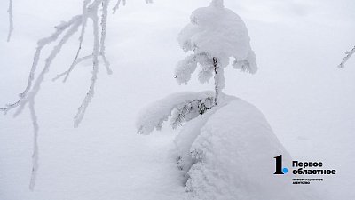 В Челябинской области высота сугробов превысила норму на 25 см