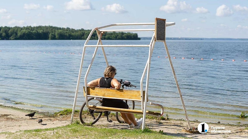 Берег Шершней превратят в экологический кластер