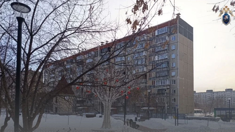 В Челябинске будут судить подростка, выстрелившего сигнальной ракетой в лицо сверстнику