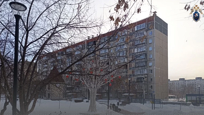 В Челябинске будут судить подростка, выстрелившего сигнальной ракетой в лицо сверстнику