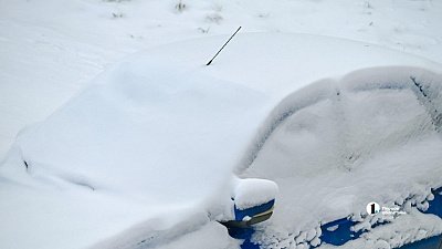 Алексей Текслер поручил обеспечить проезд по заснеженным дорогам на юге Челябинской области